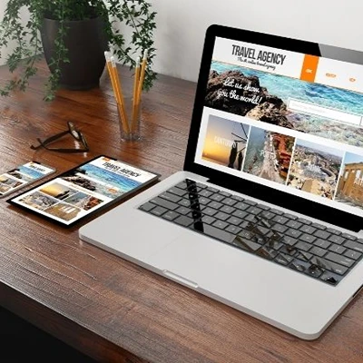 Web Sitesi Tasarımı, Savur